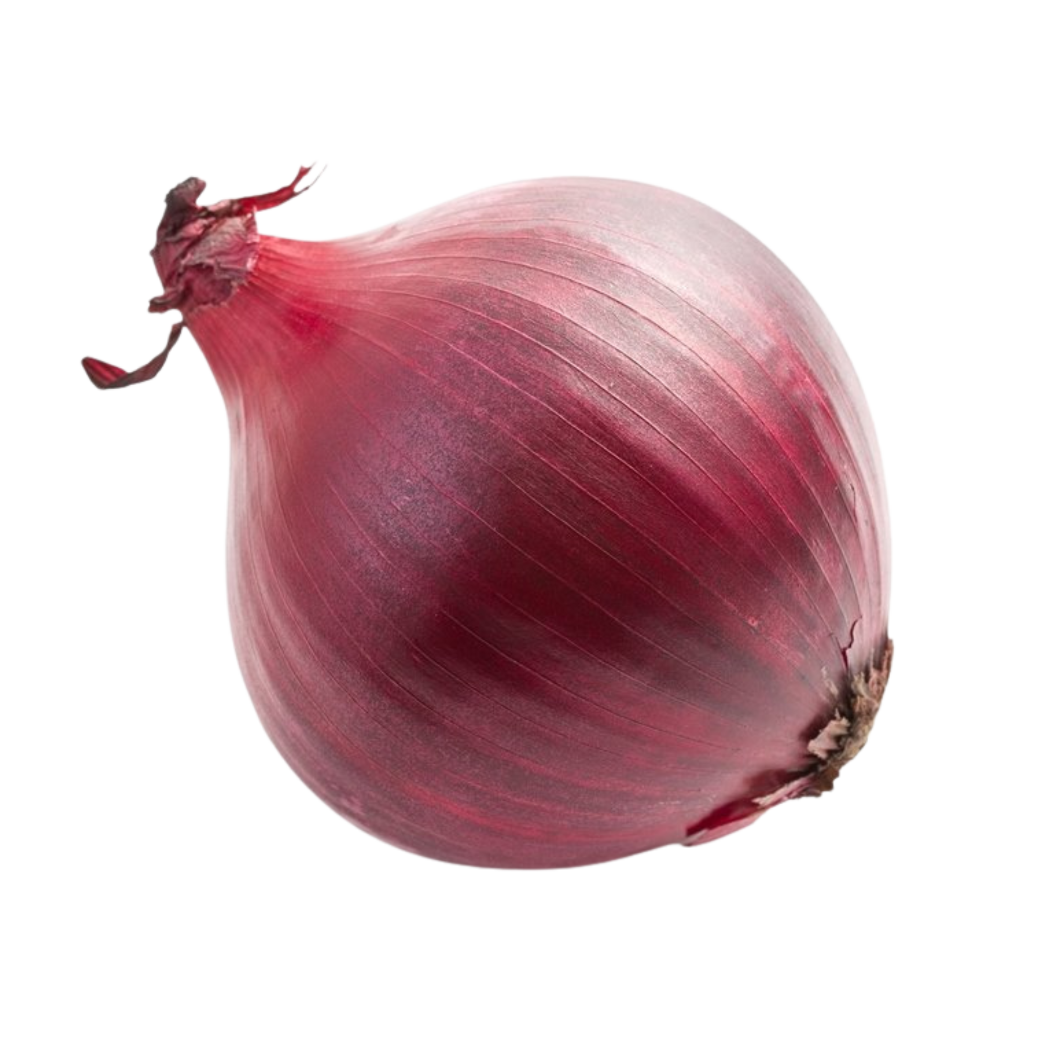 Uientaart van Sylvia