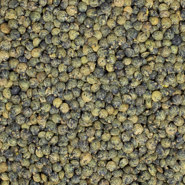 Stoofpotje van puy-linzen en aubergine