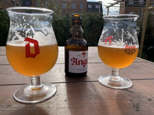 Workshop Bier Brouwen