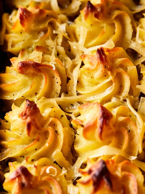 Witlof ovenschotel met gehakt